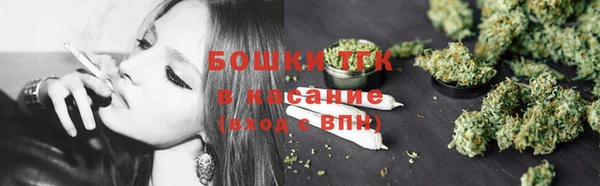 крисы Богородицк