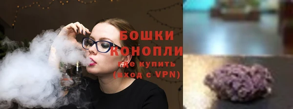 молекула духа Белокуриха