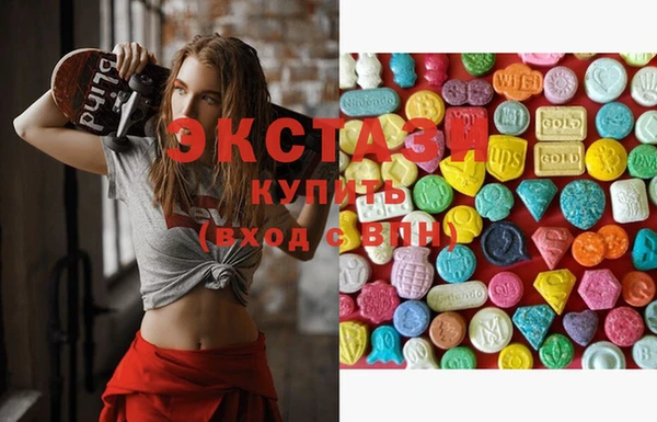крисы Богородицк