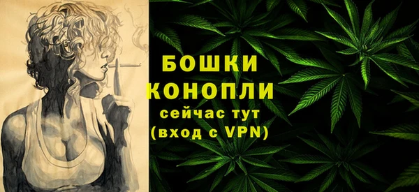 крисы Богородицк