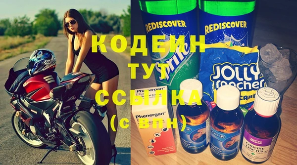 крисы Богородицк