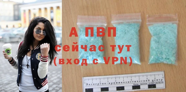 крисы Богородицк