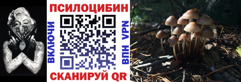 Галлюциногенные грибы ЛСД  Мглин 